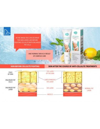 Advanced Lipolytic Gel - Your Cold Weapon...