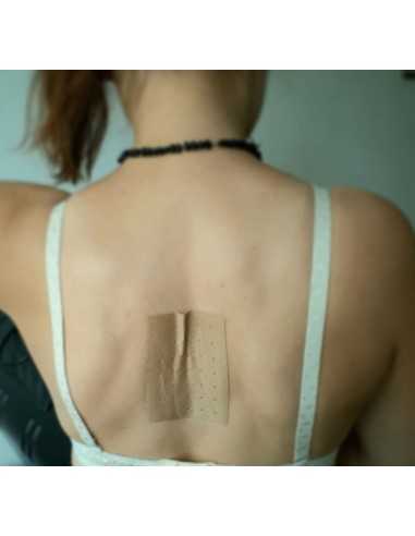 Herbal Pain Relief Patch - Wutong