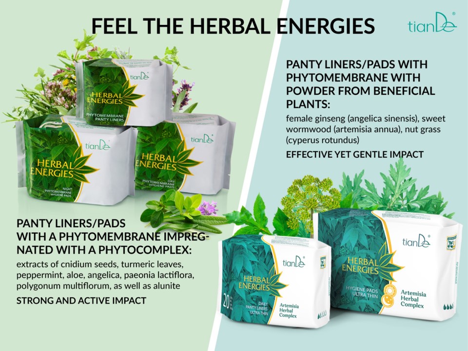 Artemisia Herbal Complex panty liners/pads - Tiande Shop - Try our line ...